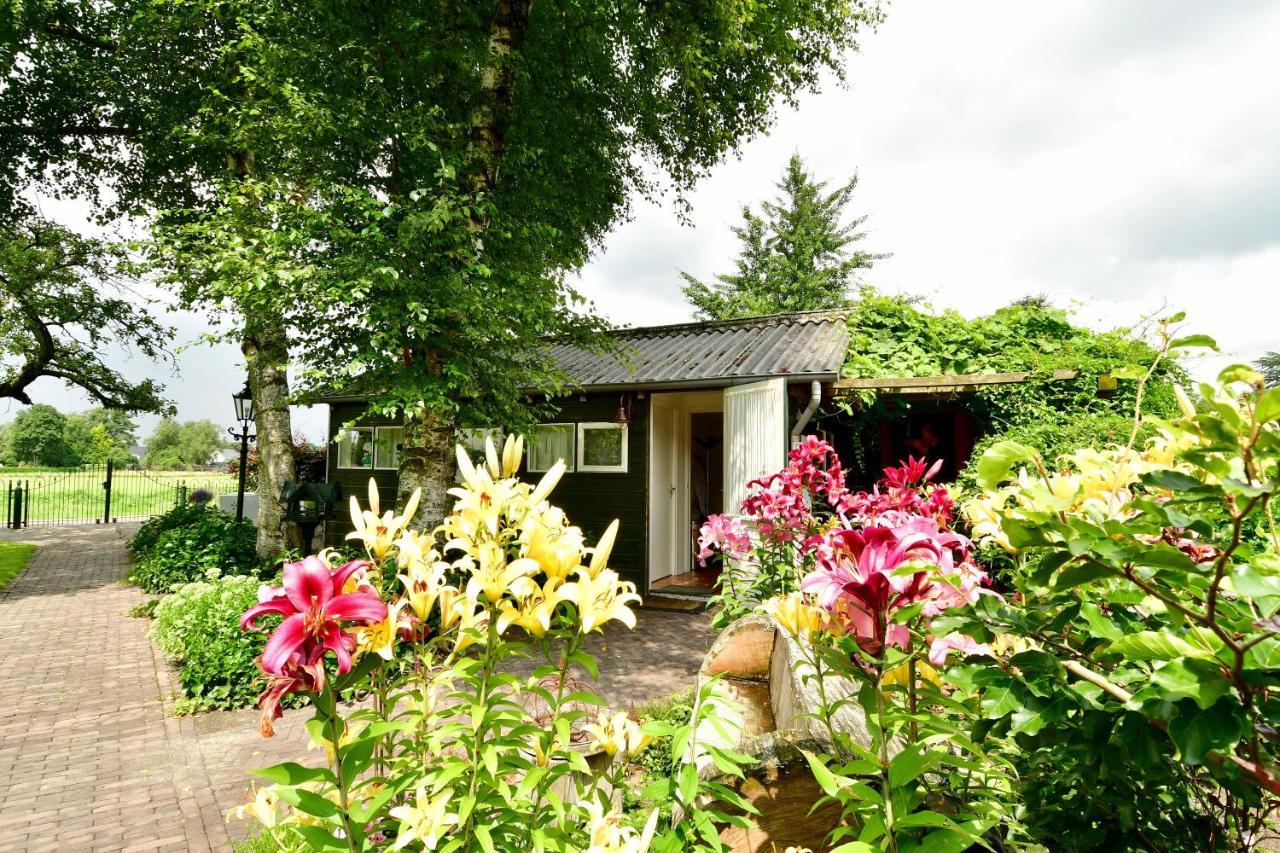 De Veldeling Bed and Breakfast Hollandscheveld Exteriör bild