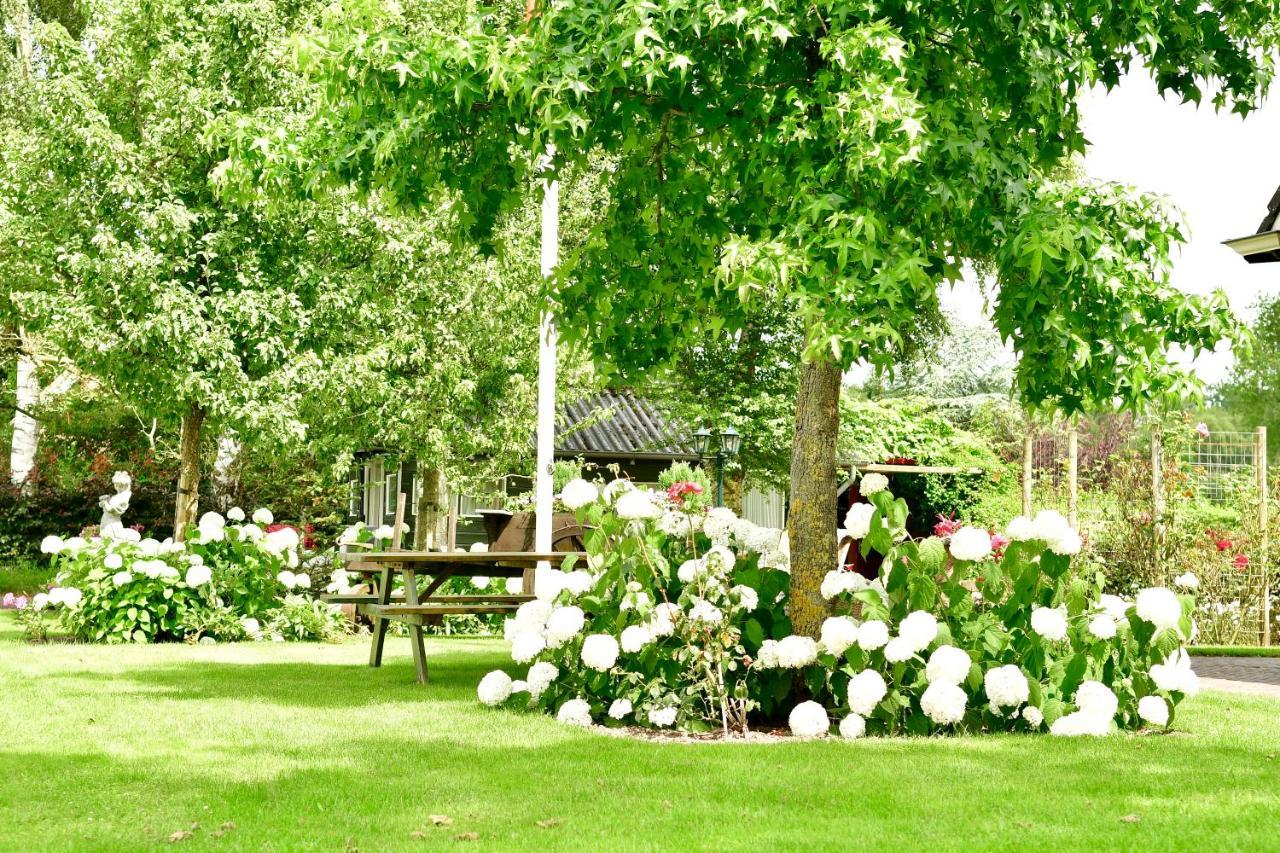 De Veldeling Bed and Breakfast Hollandscheveld Exteriör bild
