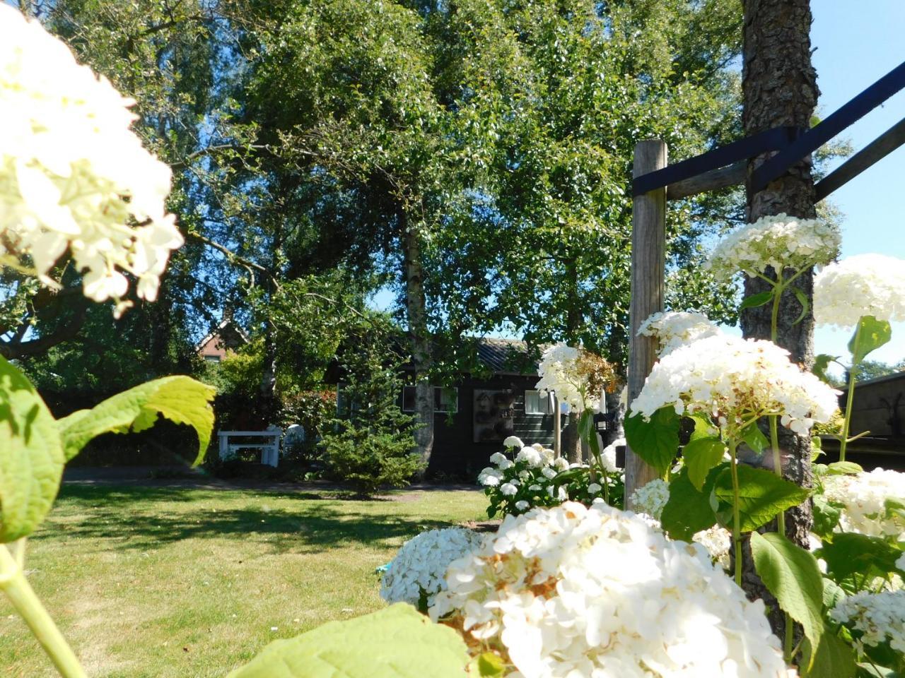 De Veldeling Bed and Breakfast Hollandscheveld Exteriör bild