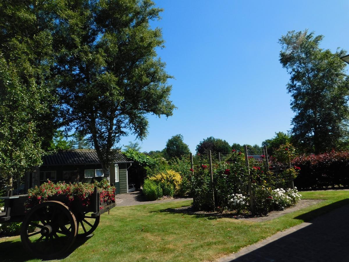 De Veldeling Bed and Breakfast Hollandscheveld Exteriör bild